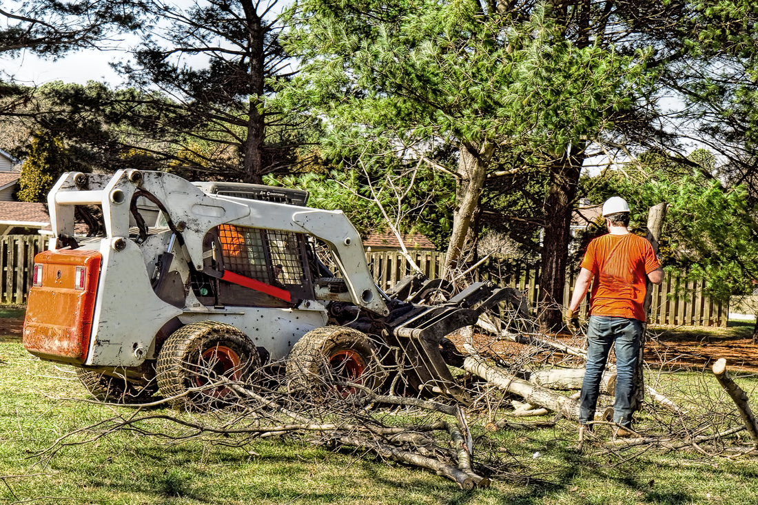 Experienced specialists offering tailored tree removal services in Paducah, KY – Your trusted experts
